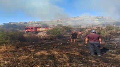 Antalya’nın Serik ilçesi Sillyon Antik Kenti yakınlarındaki makilik ve zeytinlik