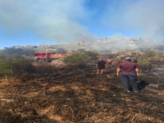 Antalya’nın Serik ilçesi Sillyon Antik Kenti yakınlarındaki makilik ve zeytinlik