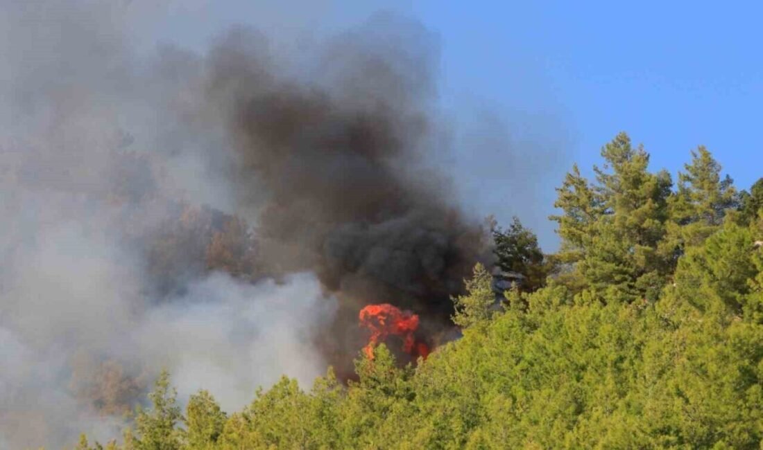 Antalya’nın Serik ilçesinde öğlen saatlerinde çıkan ve enerjisi düşürülen yangına