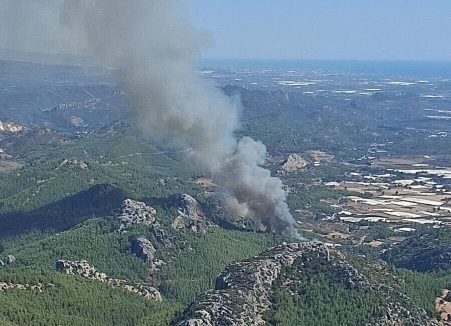 Antalya’nın Serik ilçesinde başlayan orman yangınına ekipler müdahale ediyor. Bilginler