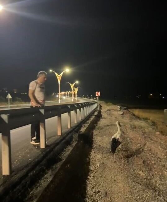 Osmaniye Belediye Başkanı İbrahim Çenet, yol ortasında yaralı halde yatan