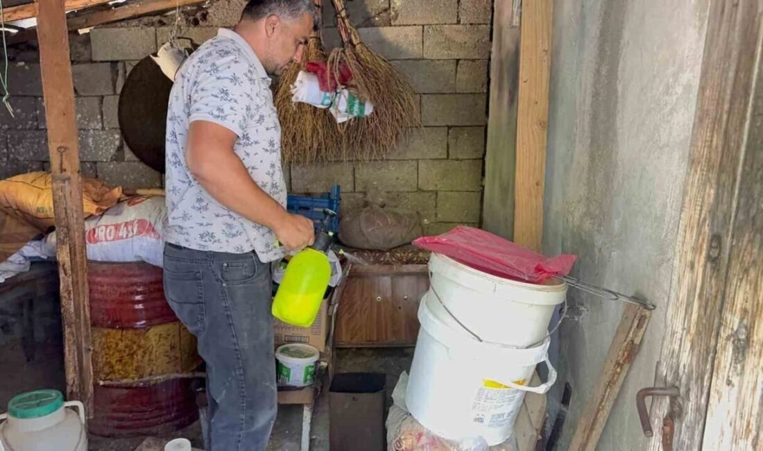 Osmaniye’nin Düziçi ilçesinde yaşayan 68 yaşındaki Halime Mart, evinde gördüğü