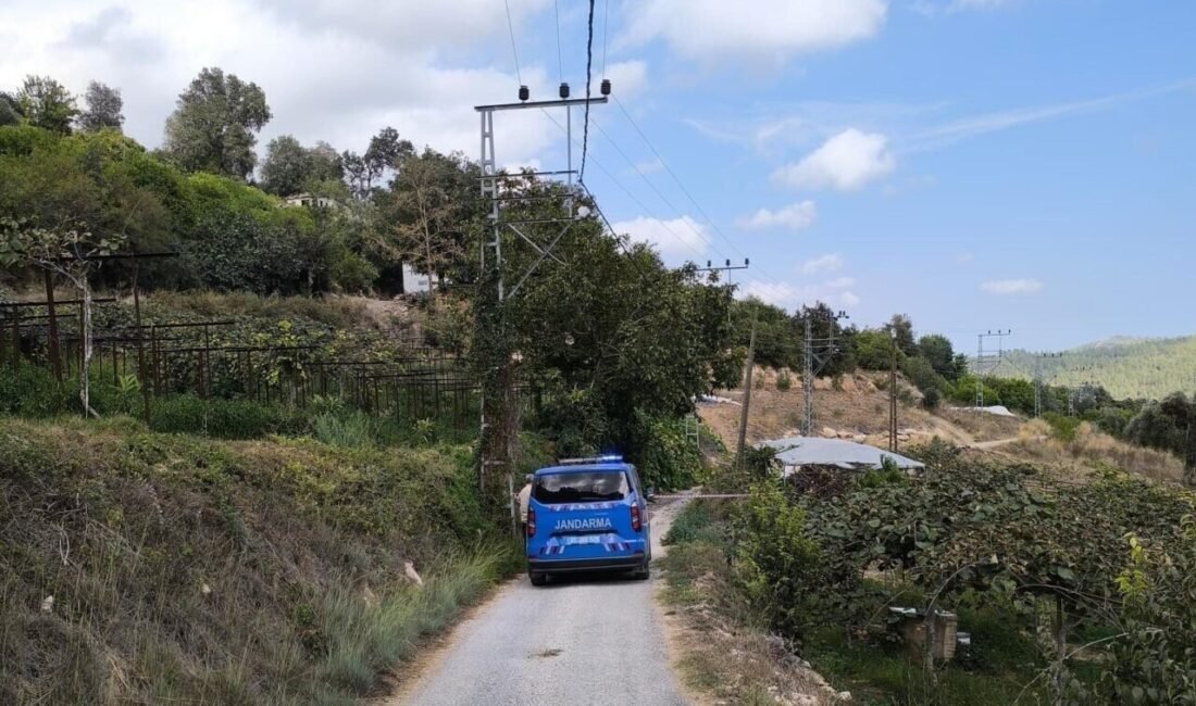 Mersin’in Erdemli ilçesinde ceviz toplarken elektrik akımına kapılan nişanlısını hastaneye
