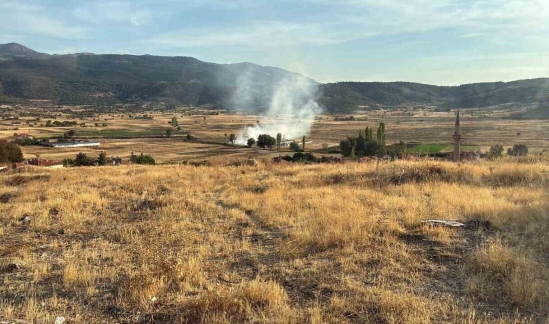 Burdur’un Yeşilova ilçesinde çıkan arazi yangını ekipler tarafından büyümeden söndürüldü.