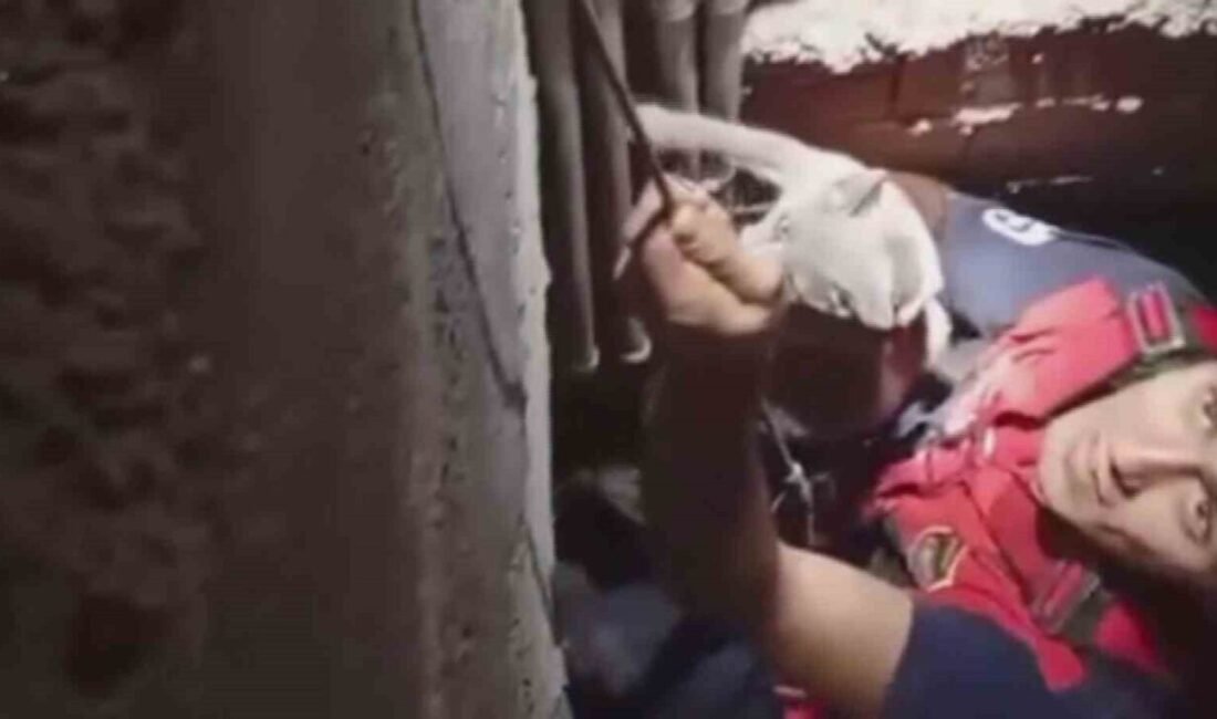 Hatay’ın Arsuz ilçesinde 7 metre derinliğindeki boşluğa düşüp mahsur kalan