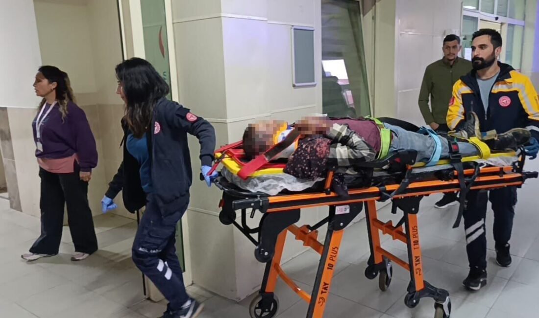 Adana’nın Kozan ilçesinde, tarım işçilerini taşıyan minibüsün devrilmesi sonucu meydana