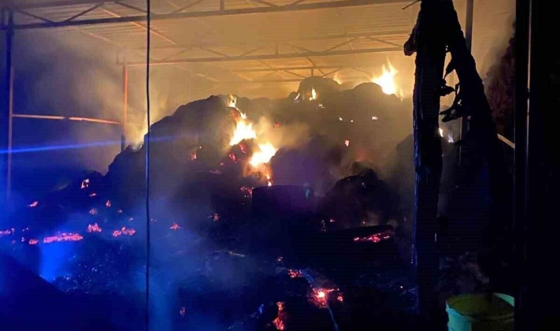 Antalya’nın Gazipaşa ilçesi Göçük Mahallesi Sümbüller mevkiinde Hayati Yaman’a ait