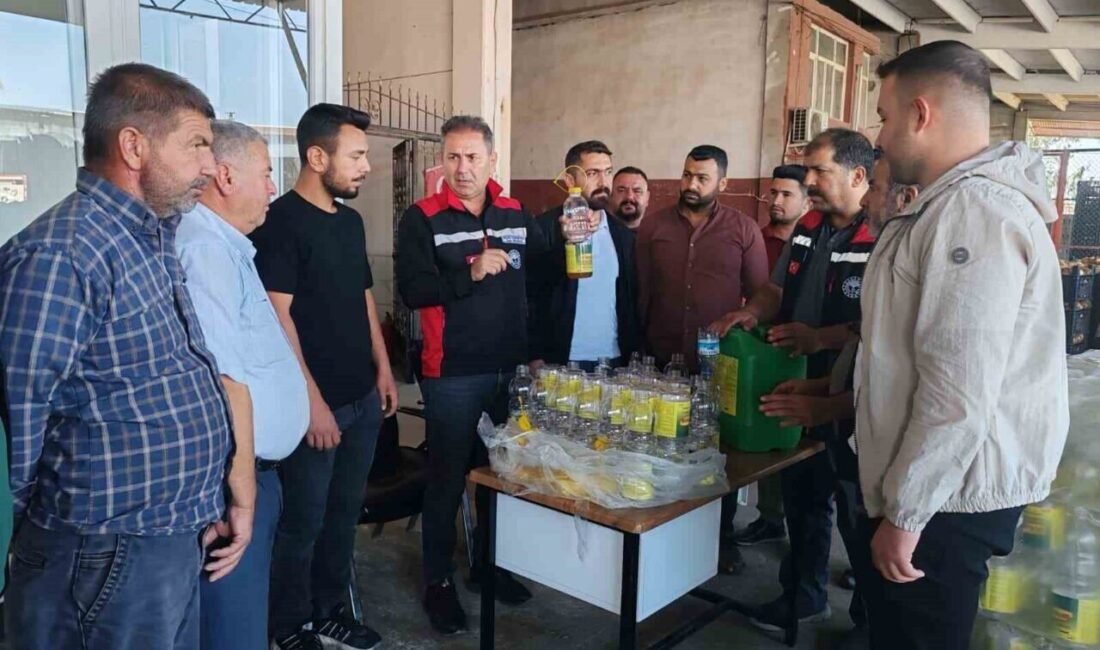 Adana’nın Kozan ilçesinde, meyvecilik alanlarında büyük ekonomik kayıplara yol açan