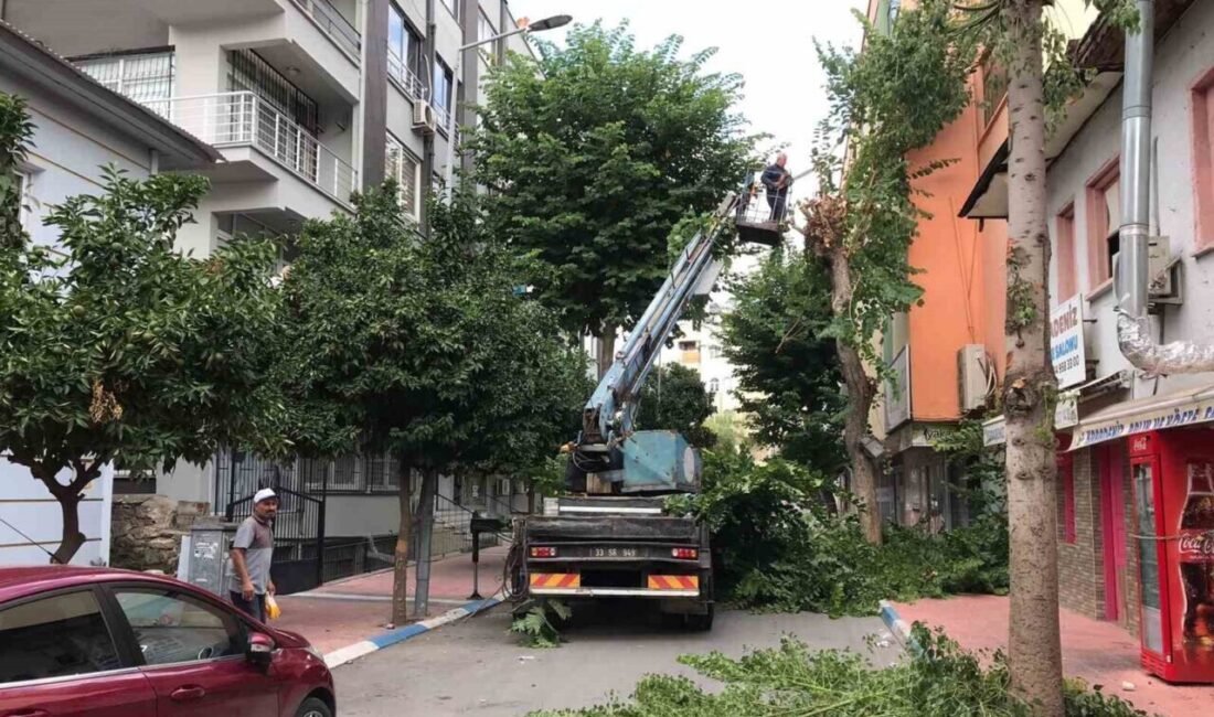 Mersin’in merkez ilçe Akdeniz Belediyesi, sonbahar mevsiminin etkisini göstermesiyle birlikte