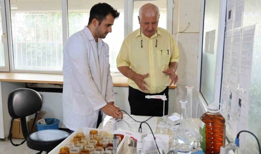 Son yıllarda artan kuraklık nedeniyle Akdeniz bölgesinde toprak yapısının yüzde