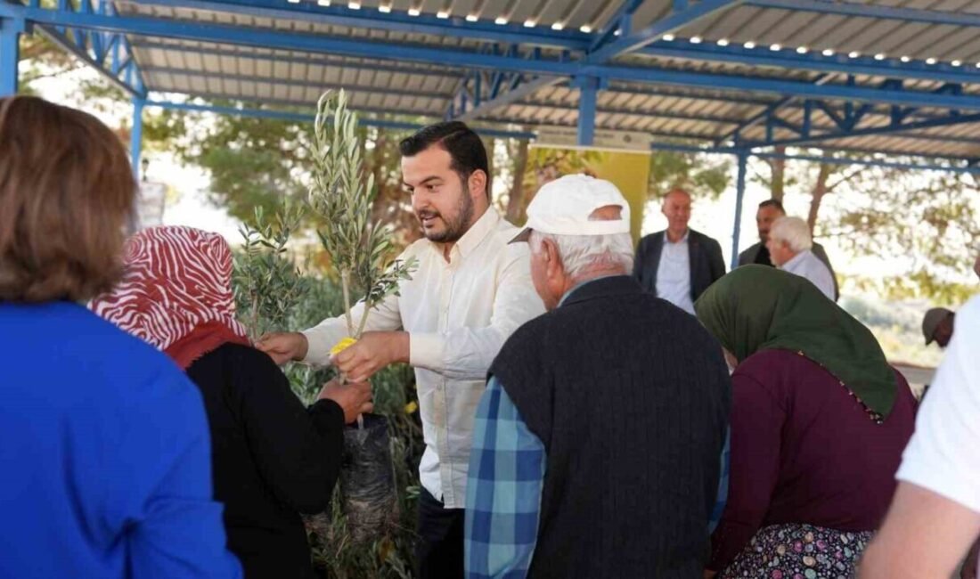 Alanya Belediyesi, Eylül ayında gerçekleşen yangın felaketinin ardından yaraları sarmaya