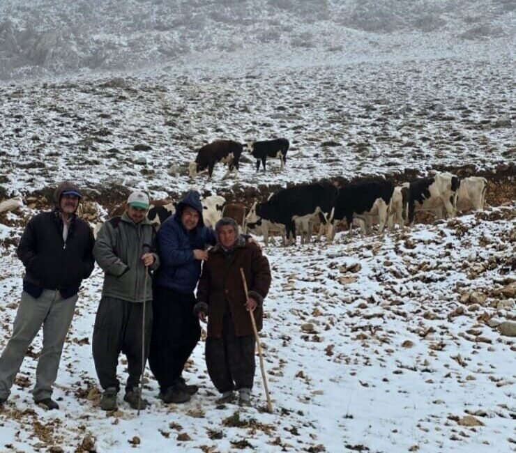 Adana’nın Feke ilçesinde aniden bastıran yar yağışı nedeniyle yaylada mahsur
