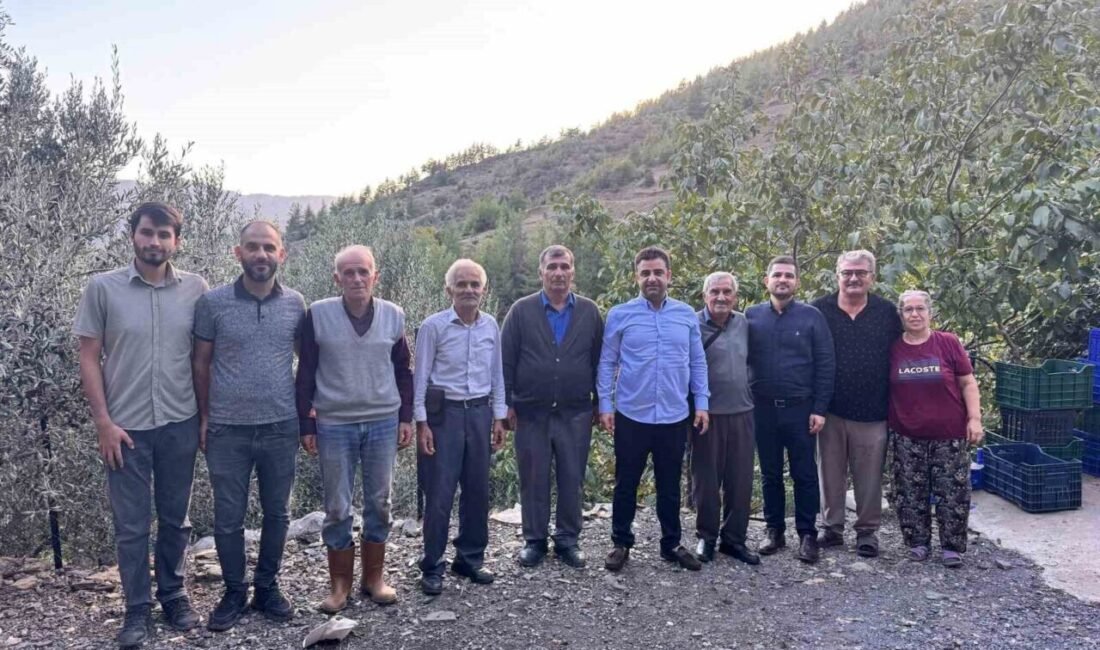 Antalya’nın Gazipaşa ilçesine özgü, coğrafi işaretli çekirdeksiz narda hasat sezonu