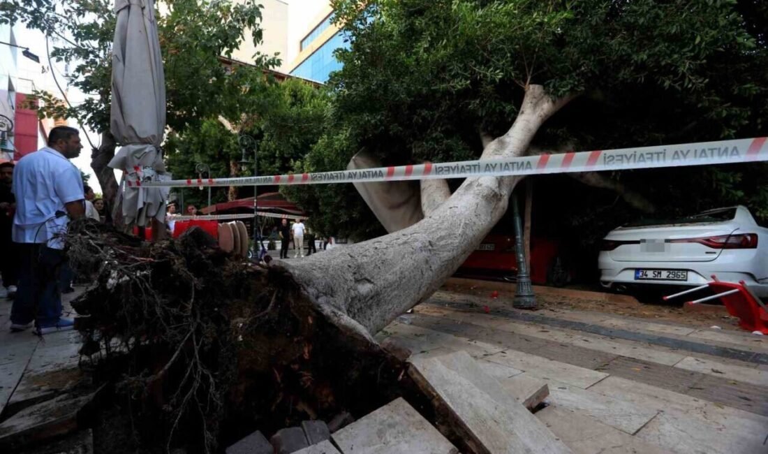 Antalya’da faciadan dönüldü: Araçların üzerine devrilen ağacın altında kalmaktan son anda kurtuldu Antalya’da kaldırım üzerinde bulunan ağaç park halindeki araçların üzerine devrildi.