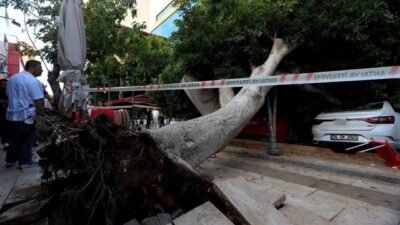 Antalya’da kaldırım üzerinde bulunan ağaç park halindeki araçların üzerine devrildi.
