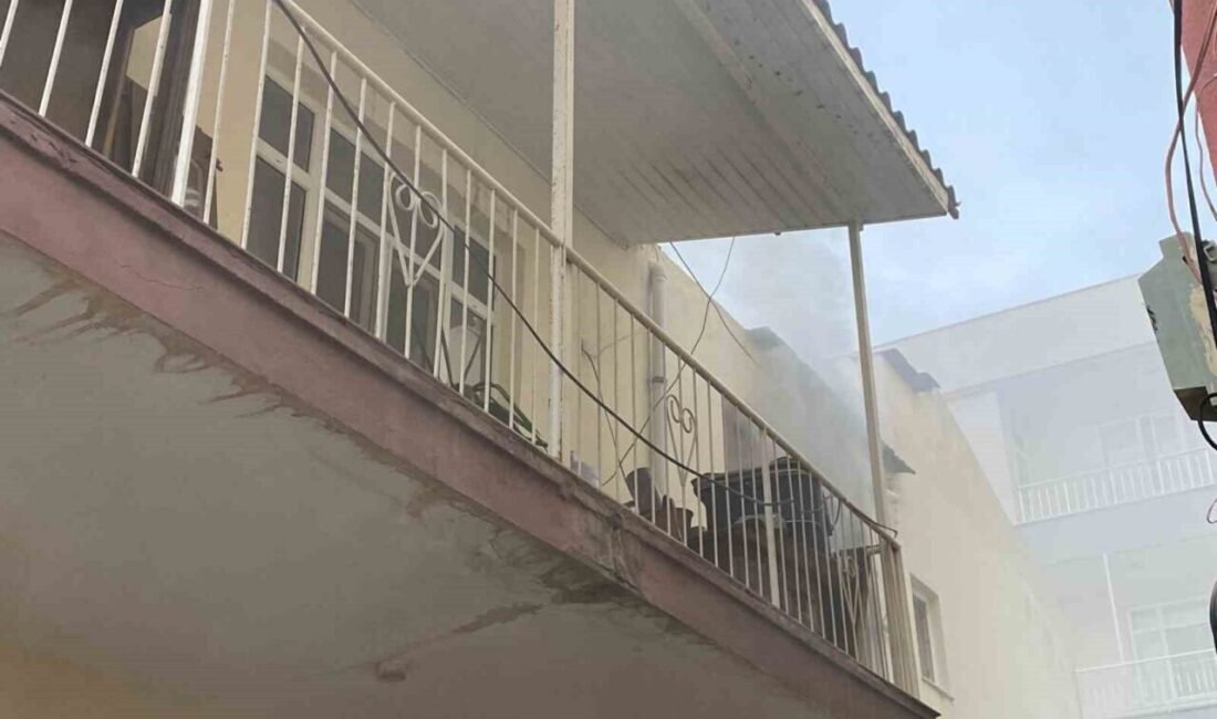 Antalya’nın Serik ilçesinde yangın çıkan müstakil evdeki muhabbet kuşunu itfaiye