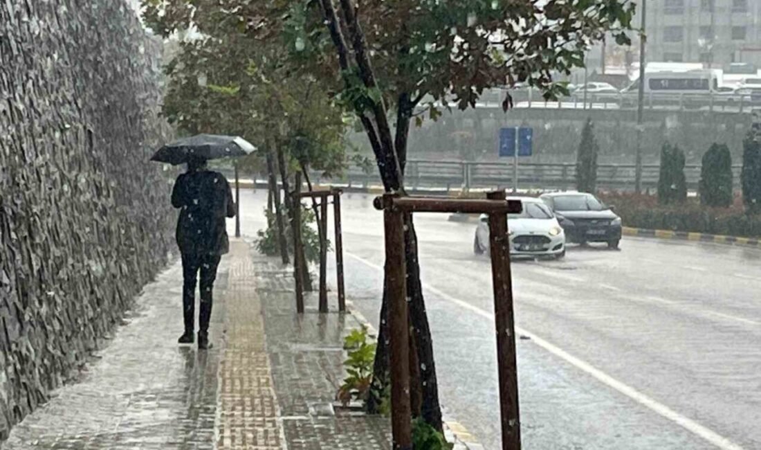 Meteoroloji verilerine göre son 65 yılın en kurak yılının yaşandığı
