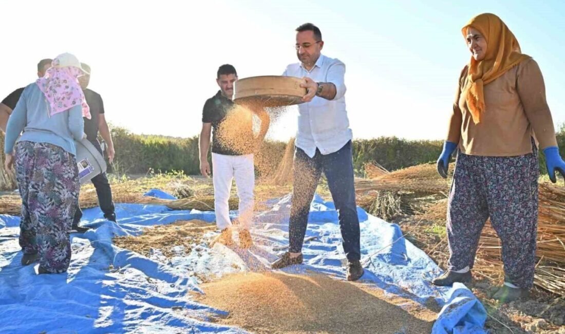 Manavgat Ticaret ve Sanayi Odası (MATSO) Başkanı Seydi Tahsin Güngör,