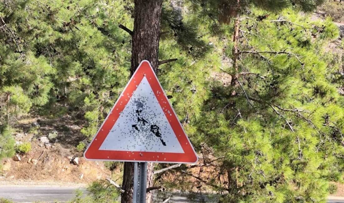 Mersin’in Bozyazı ilçesinde, yayla yolu güzergahında yer alan bazı trafik