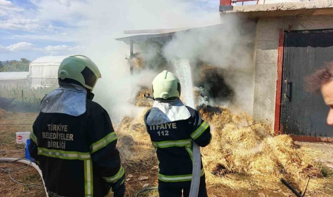 Burdur’un Bucak ilçesinde çıkan yangında ot balyaları yandı. Yangın, öğle