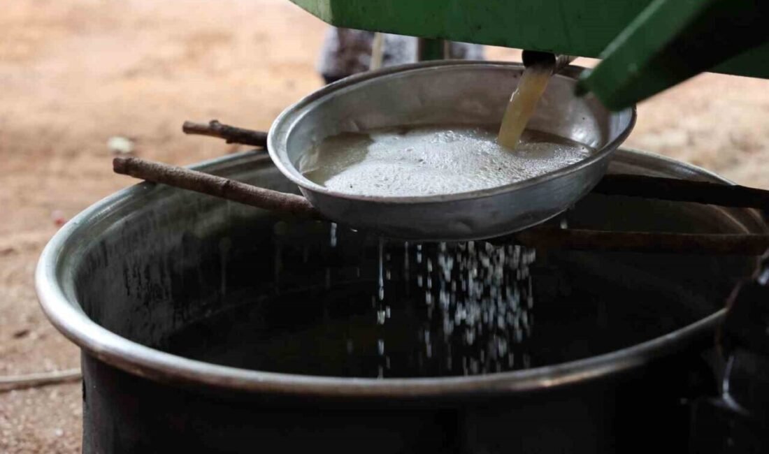 Antalya Büyükşehir Belediyesi, Elmalı ilçesinde 6 vatandaşa pekmez üretiminde iş