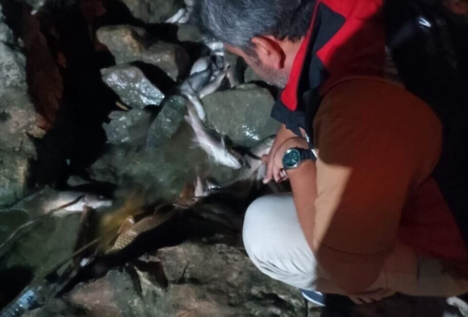 Adana’da Ceyhan Nehri’ndeki kirlilik ile ilgili İl Tarım ve Orman