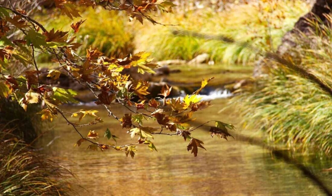Kahramanmaraş’ta doğal güzelliği ve egzotik yapısı ile Cödden Vadisi görenleri