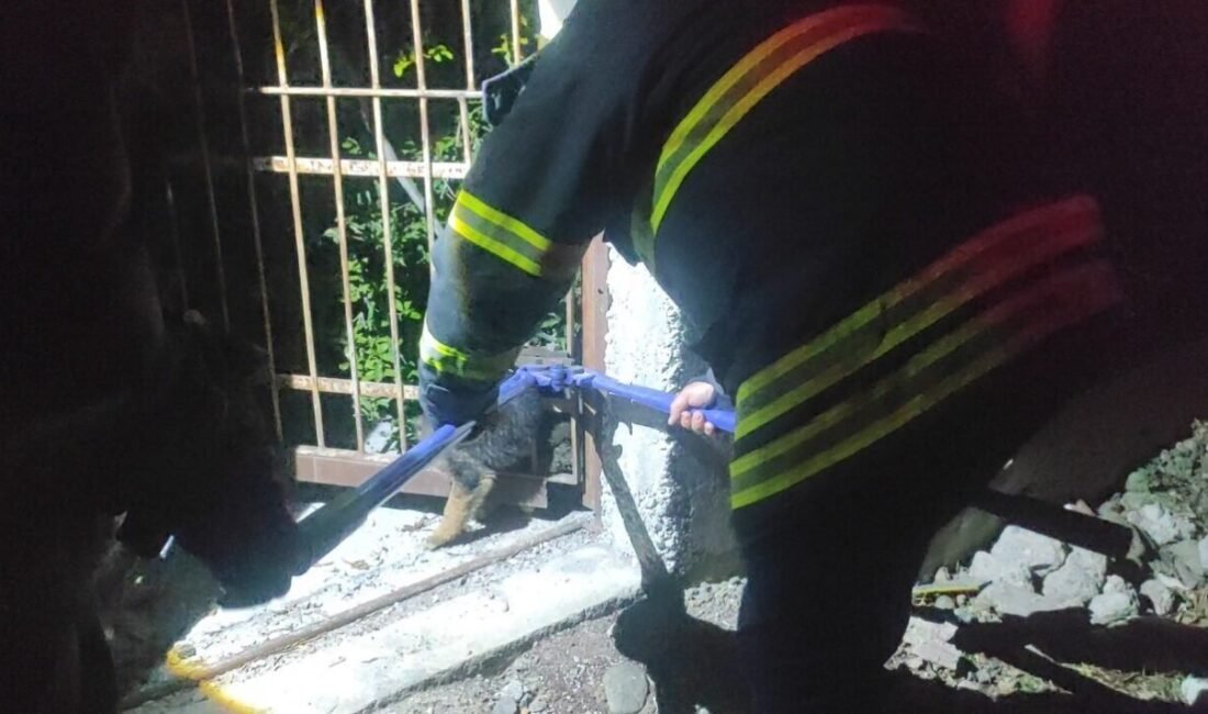 Hatay’ın Arsuz ilçesinde demir korkuluklara sıkışan yavru köpek, itfaiye ekiplerinin