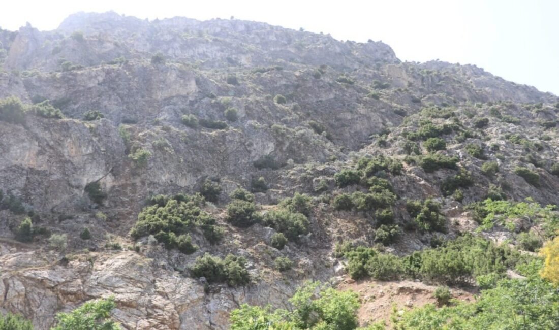 Isparta’nın Eğirdir ilçesinde doğa yürüyüşü için cumartesi günü kamp yapmak
