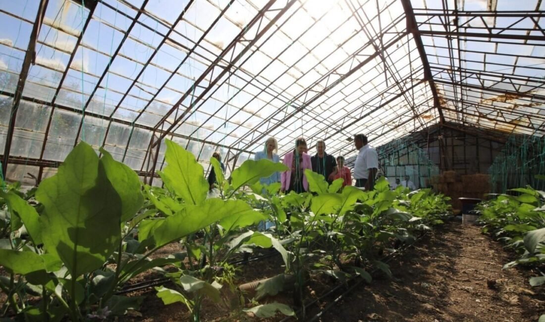 Doyran Mahallesi’nde düzenlenen “Obezite Farkındalık Etkinliği”nde, kadınlara sağlıklı yaşam ve