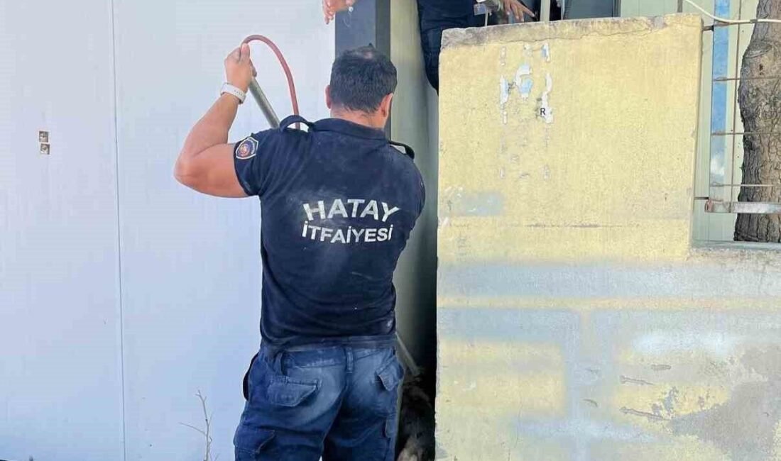 Hatay’da konteyner ve duvar arasında sıkışarak mahsur kalan yavru köpeği