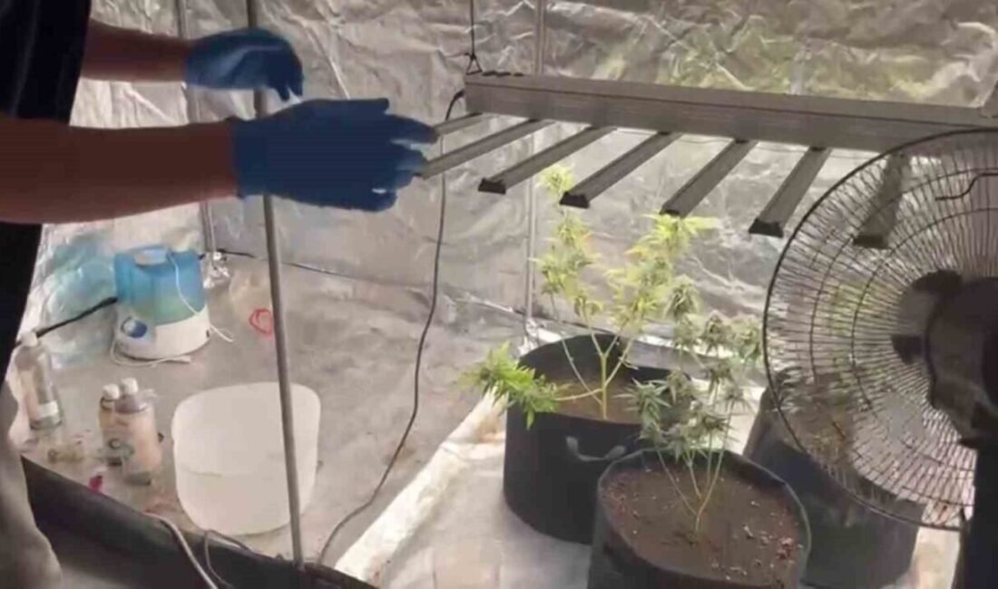 Adana’da kiraladığı evde kurduğu iklimlendirme sistemi ile uyuşturucu yetiştiren şüpheli