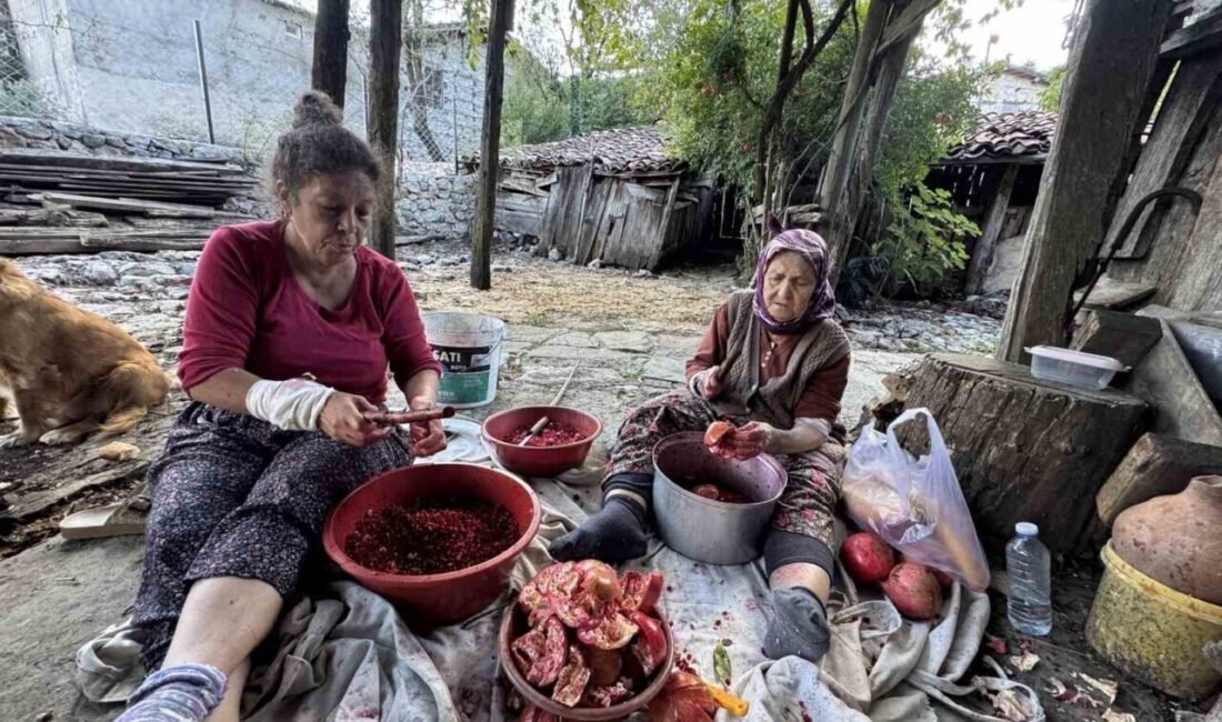 Antalya’nın Akseki ilçesinde ev hanımları, hem sofralara lezzet katmak hem