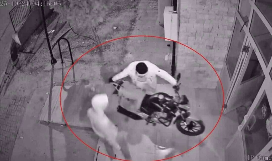 Hatay’da rahat tavırlarla girdikleri binadan motosiklet çalarak kayıplara karışan 2