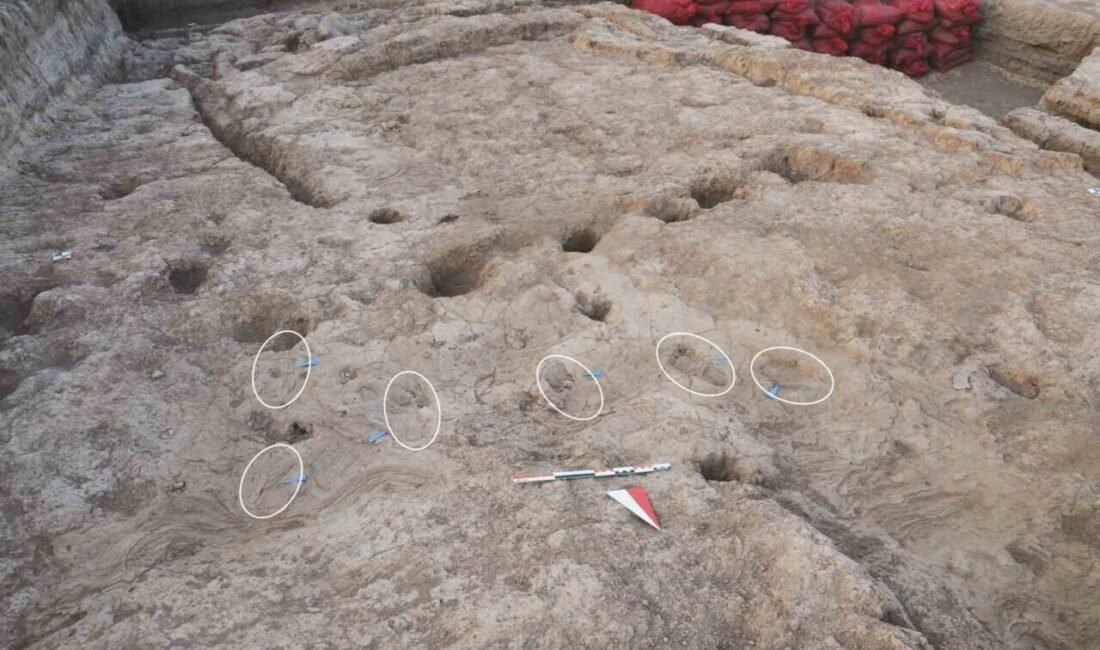 Hatay’ın Reyhanlı ilçesi Karahüyük Mahallesi’ndeki Tell Kurdu Höyüğünde yürütülen kazılarda,