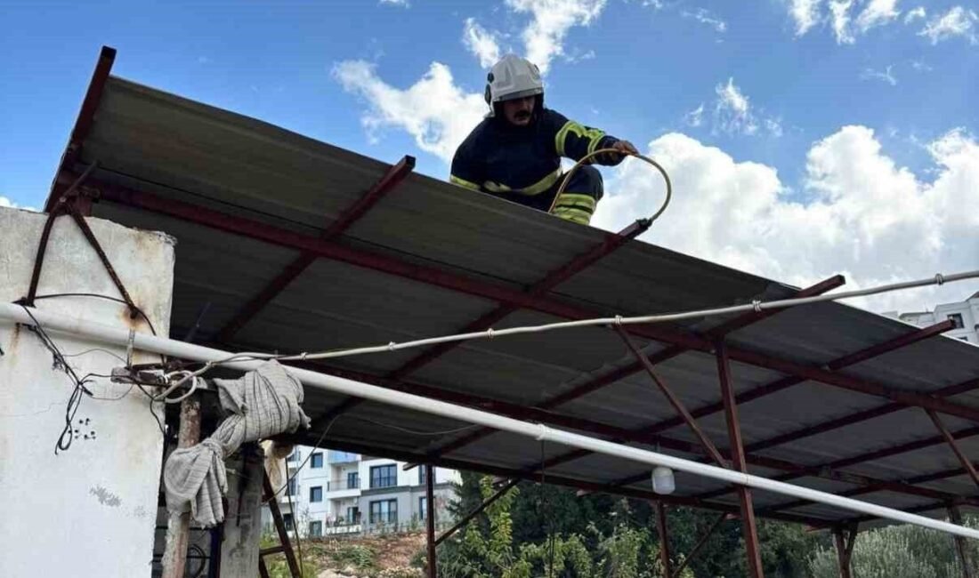 Hatay’da vatandaşların evlerine giren 2 farklı yılan itfaiye ekipleri tarafından