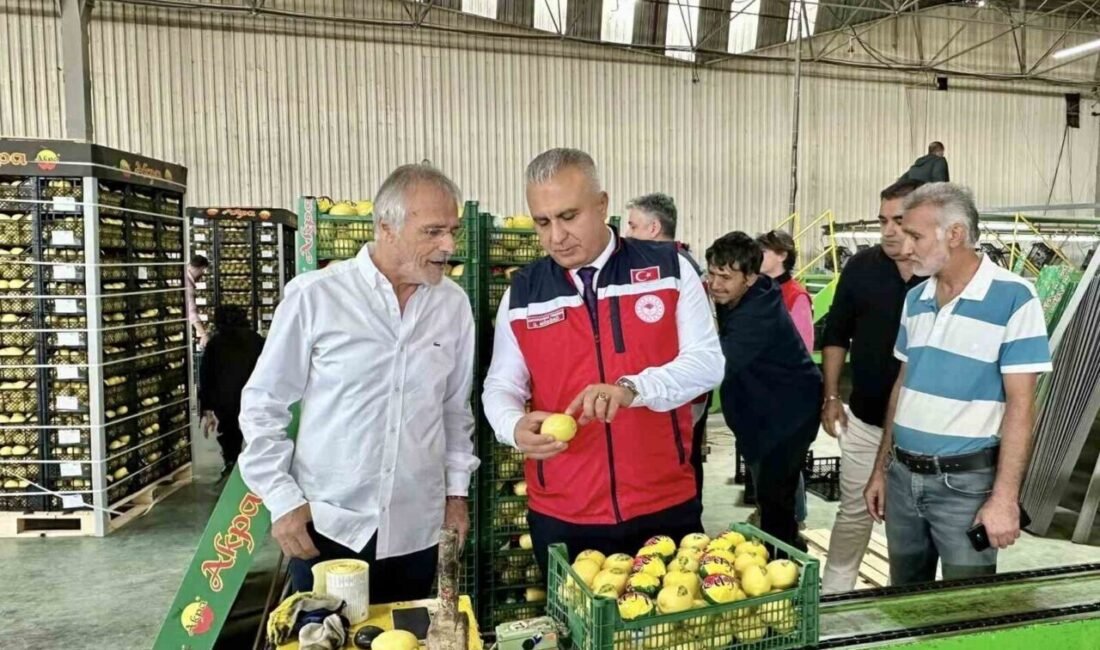 Hatay Tarım ve Orman İl Müdürlüğü ekipleri, kentte başlayan narenciye