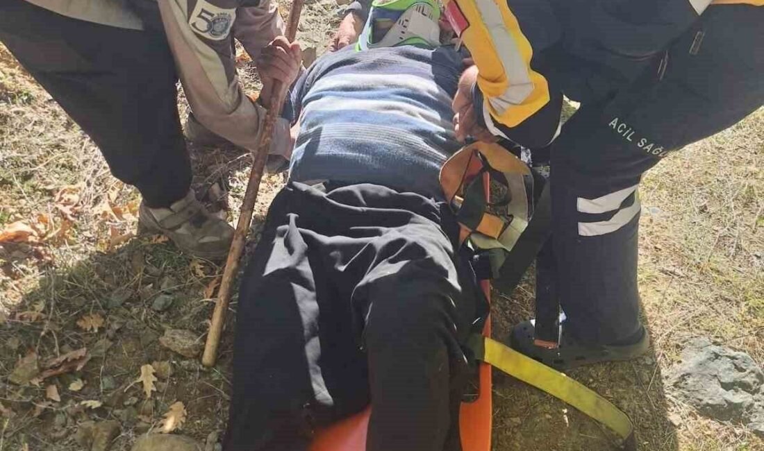 Adana’da hayvanlarını otlatırken kayalıklardan düşen 65 yaşındaki gazi kurtarılarak hastaneye