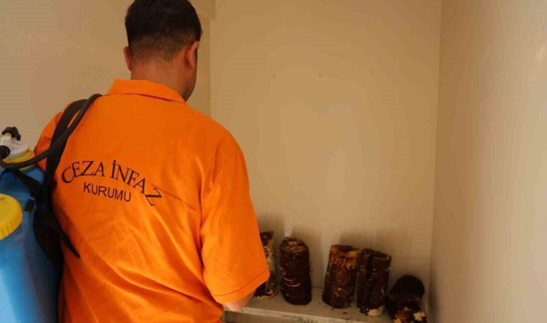 Adana’da Kozan M Tipi Açık ve Kapalı Ceza İnfaz Kurumu’nda