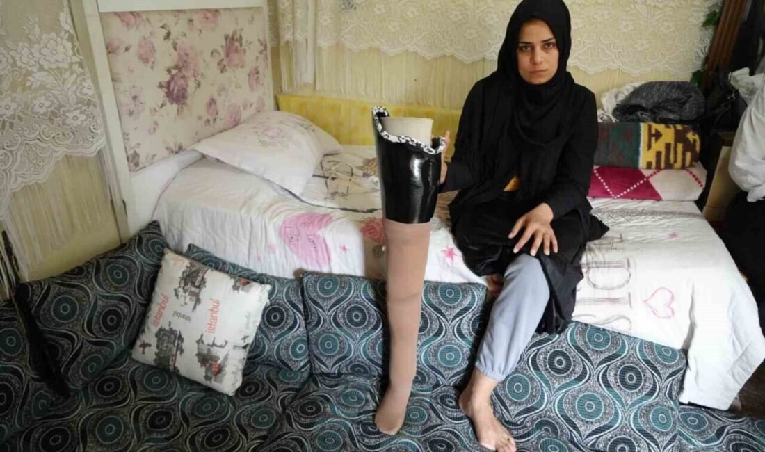 6 Şubat 2023’te Kahramanmaraş merkezli meydana gelen ve 11 ili