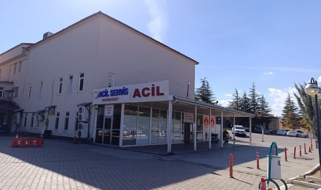 Kahramanmaraş’ın Afşin ilçesinde arının soktuğu 9 yaşındaki kız çocuğu kaldırıldığı