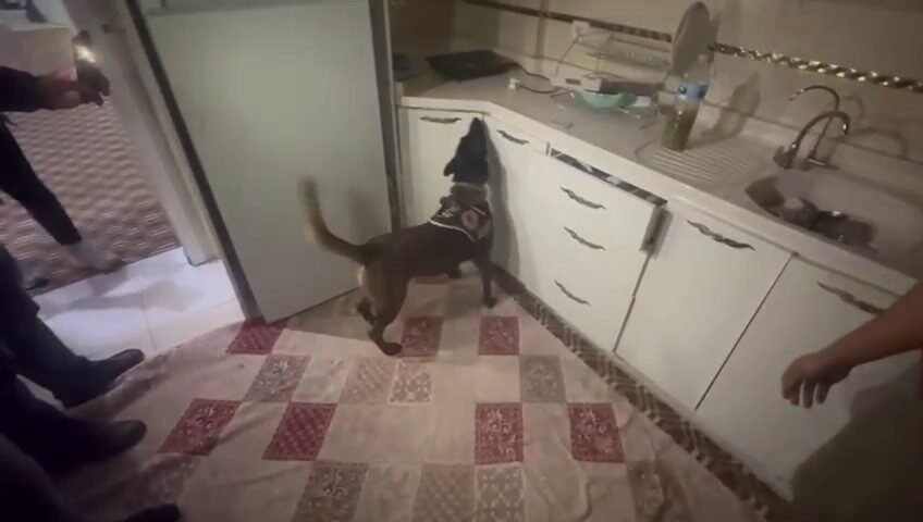 Hatay’da kasa içine saklanmış 10 kilogram ağırlığındaki 60 bin adet