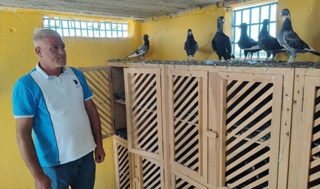 Adana’da kayıp iki güvercinini bulana daha önce 20 bin lira
