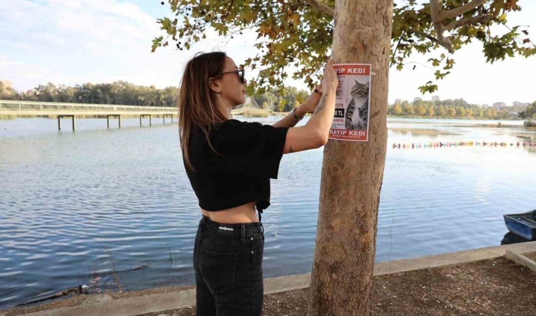 Adana’da yaşayan genç kadın, kaybolan kedisini bulmak için sokaklarda gezip