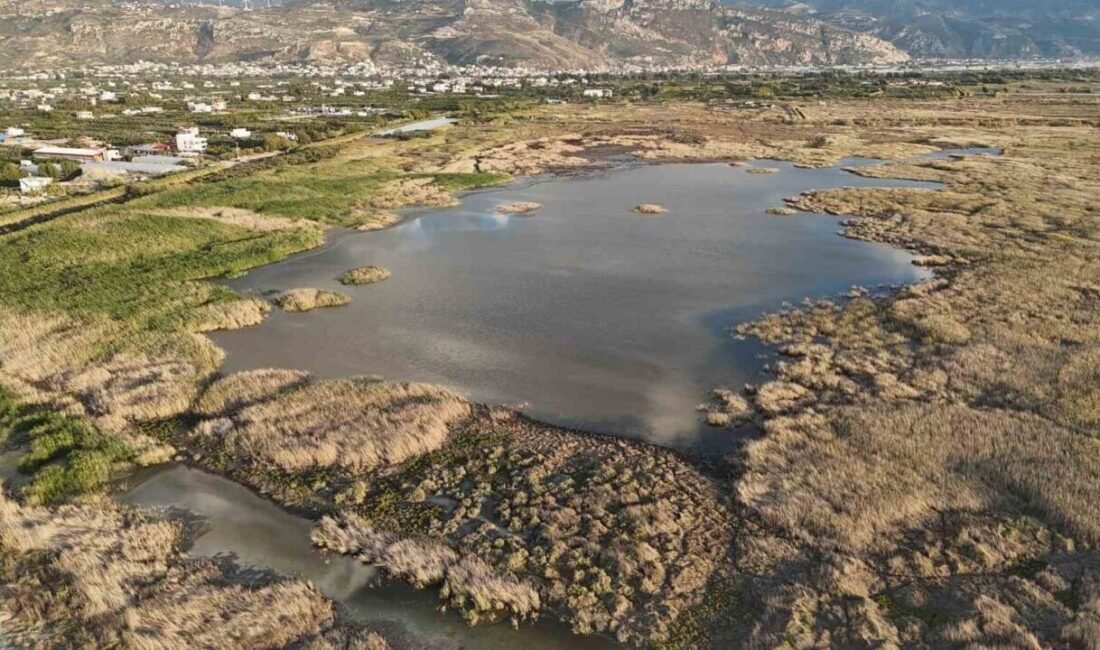 Hatay’da son 65 yılın en kurak yılının yaşanmasıyla birlikte adeta