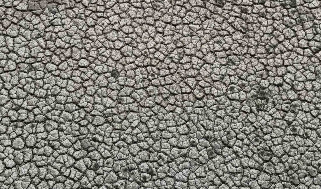 Adana Seyhan Baraj Gölü’nde yağışların azlığıyla çekilen su nedeniyle kuraklığın