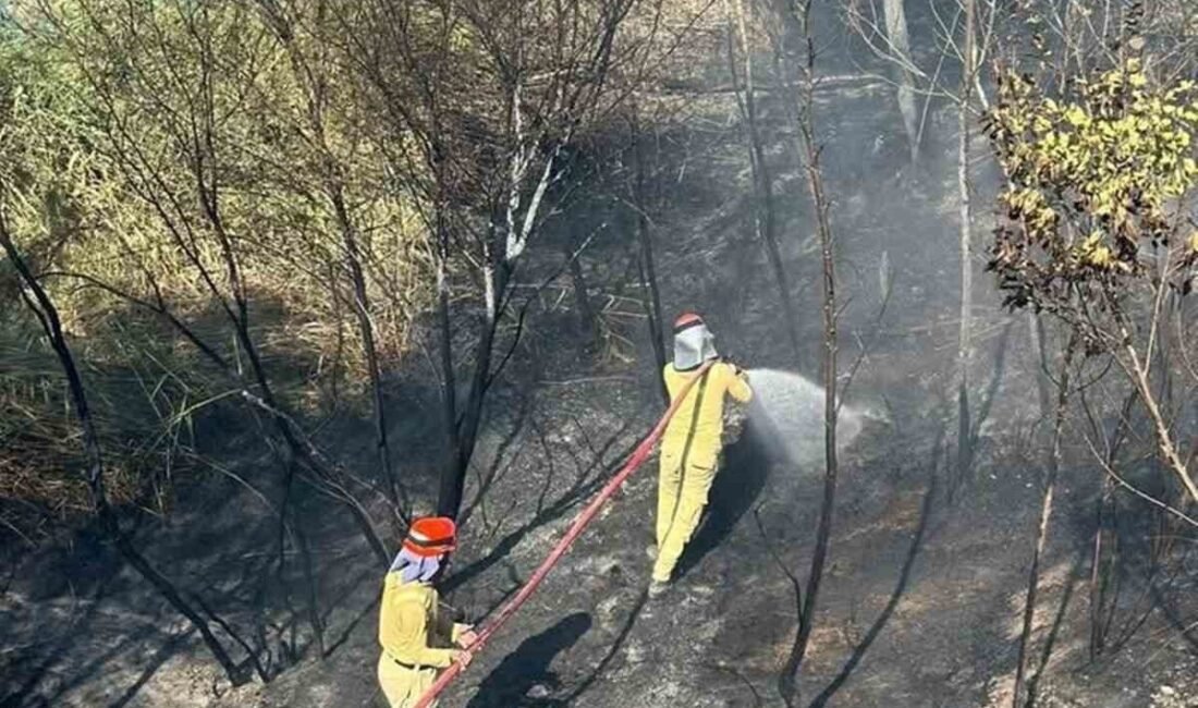 Mersin’in Mut ilçesinde bir bahçede çıkan yangın, itfaiye ve orman