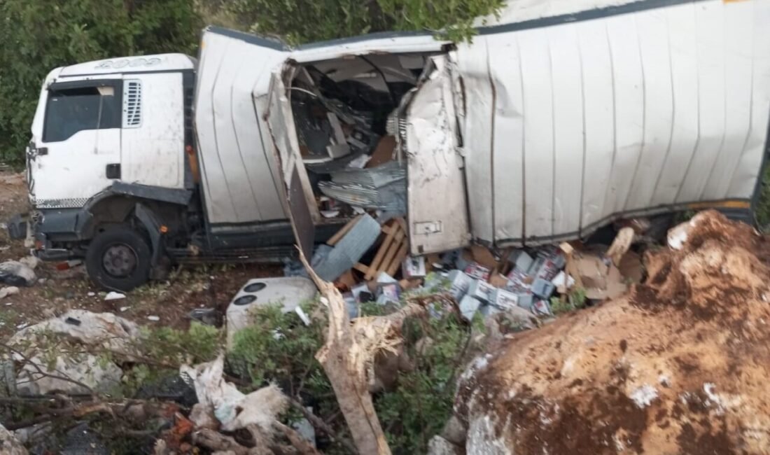 Mersin’in Erdemli ilçesinde kamyon, bariyerleri aşıp şarampolde ağaçlara çarptı. Kazada