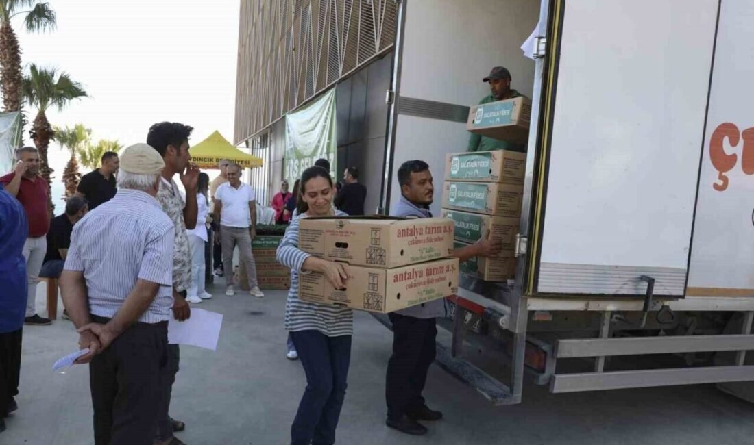 Mersin Büyükşehir Belediyesi, Aydıncık’ta 42 üreticiye 45 bin 360 hıyar