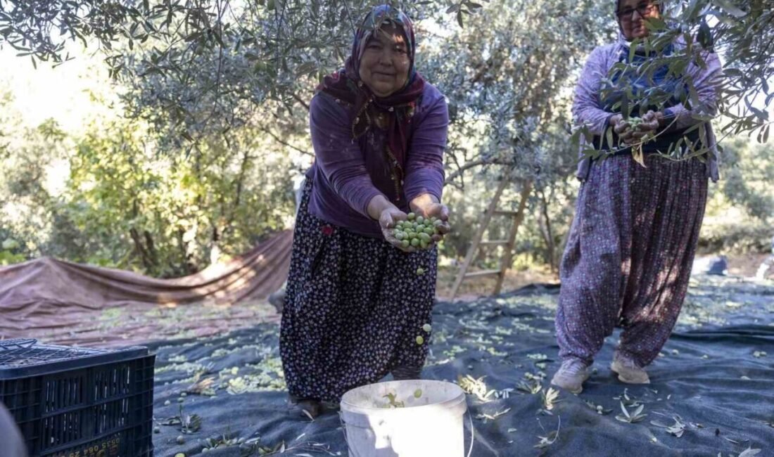 Mersin Büyükşehir Belediyesinin tarıma yönelik fidan destekleri kırsalda kalkınmaya katkı